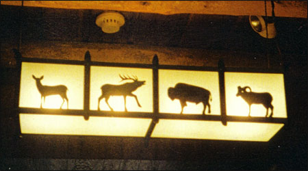 animal light