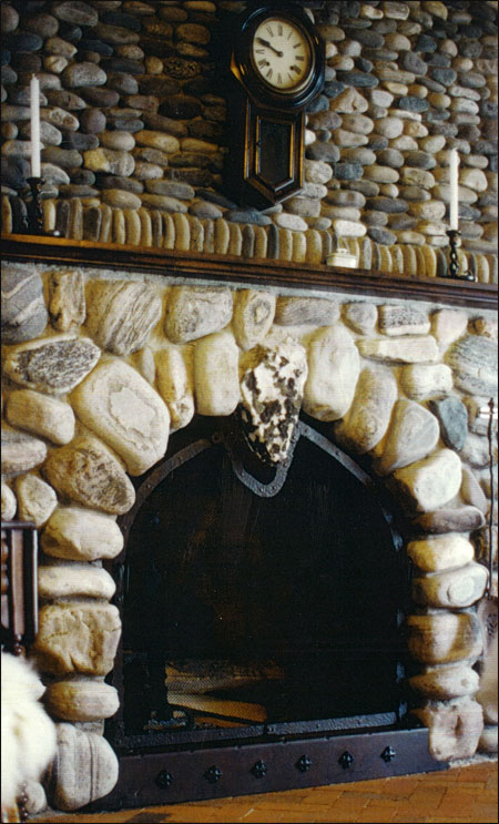 fireplace insert