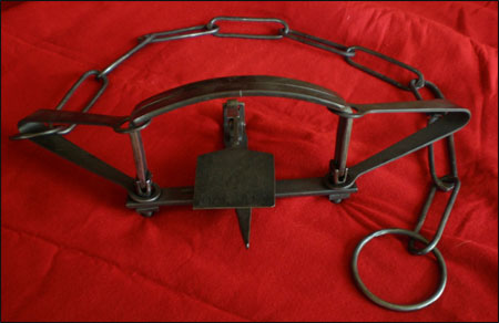 beaver trap